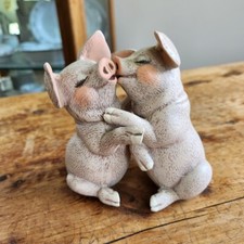 Affectionate pigs love for sale  Portsmouth
