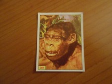 Figurina animali preistorici usato  Torino