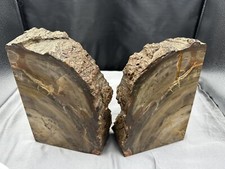 Vintage set petrified for sale  Alma