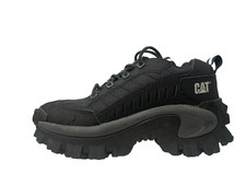 Caterpillar cat intruder for sale  LEIGHTON BUZZARD