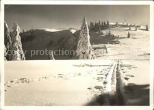 Tanzboden langlaufloipe gebraucht kaufen Tanzboden langlaufloipe gebraucht kaufen  Deutschland