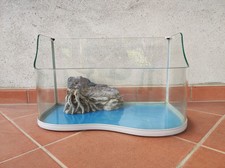 Acquario tartarughe acqua usato  Venegono Superiore