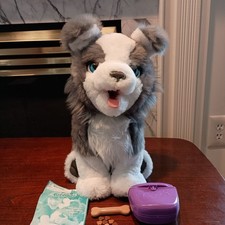 Hasbro furreal ricky for sale  Bedminster