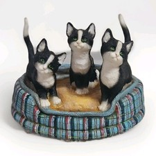 Leonardo collection cats for sale  NOTTINGHAM