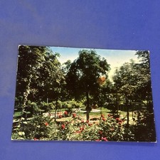Bedonia giardini centro usato  Bari