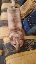 Collo pelliccia volpe usato  Licata