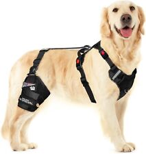 Dog leg brace for sale  Republic