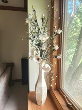 Beautiful tall white for sale  Barrington
