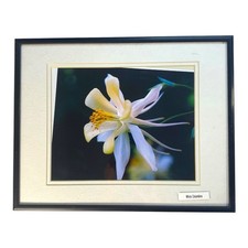 Framed flower photography for sale  Monroe Township