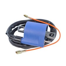 Ignition coil for d'occasion  Expédié en Belgium