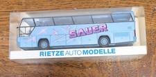 S10 rietze neoplan gebraucht kaufen  Zweibrücken