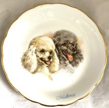 Vintage poodle dog for sale  GAINSBOROUGH