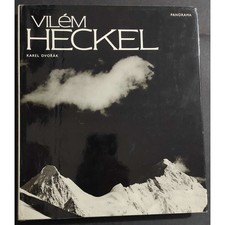 Vilém heckel panorama usato  Alessandria