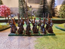 Warhammer swordmaster high usato  Bassano del Grappa
