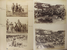 Arabia fodli tribesmen for sale  ASCOT