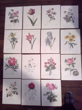 Lot reproductions aquarelles d'occasion  Juvisy-sur-Orge