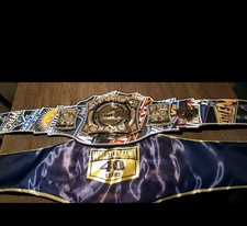 Wwe replica spinner for sale  Glen Burnie