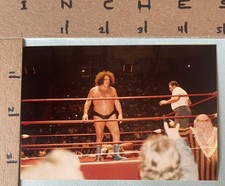 Andre giant kimala for sale  San Antonio