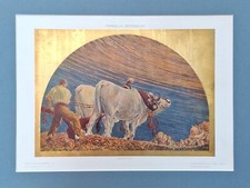 Galileo chini incisione usato  Bologna