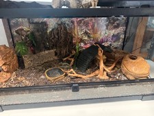 Reptile enclosure 4x2x2 for sale  Miamisburg