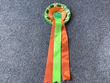2016 horse year for sale  SWADLINCOTE