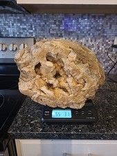 55lb massive large for sale  Fortville