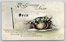 Cartão postal Seco Kentucky Greetings~Blue Forget-Me-Nots Flowers~1920 Pennant comprar usado  Enviando para Brazil