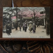 Cartão postal de gueixa flor de cerejeira do Japão em Tóquio comprar usado  Enviando para Brazil