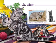 Cats british shorthair d'occasion  Expédié en Belgium
