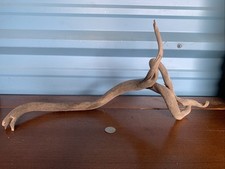 Driftwood aquarium for sale  New Braunfels