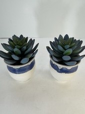 Artificial succulents ceramic for sale  Eden