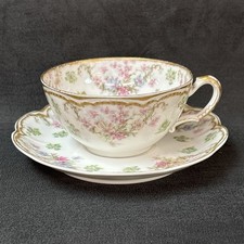 Haviland schleiger cup for sale  Knoxville