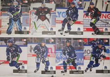 Del playercards 2024 gebraucht kaufen  Dossenheim