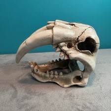 Dinosaur saber tooth for sale  Mechanicsburg