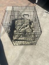 Medium size dog for sale  Ventura