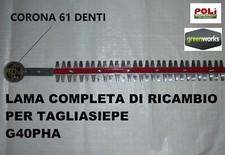 Tagliasiepe greenworks 40v usato  Massa