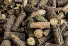 Legna ardere robinia usato  Italia