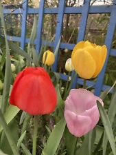Twenty colourful mixed for sale  CAMBRIDGE