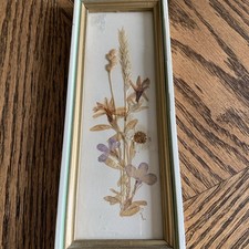 Vintage framed dried for sale  Winchester