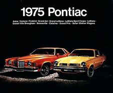 1975 pontiac page for sale  Red Wing