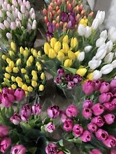 Fifty spring tulip for sale  CAMBRIDGE
