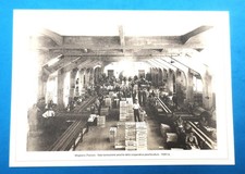 Mogliano sala lavorazione usato  Vittorio Veneto
