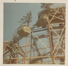 Rollercoaster vintage color for sale  Arlington