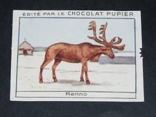 Chromo chocolat pupier d'occasion  Vendat