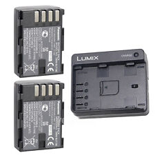 Batteria dmw blf19 usato  Spedire a Italy
