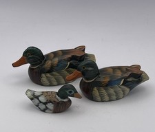 small flock ducks for sale small flock ducks for sale Libby
