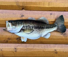 Inch largemouth bass for sale  Duluth