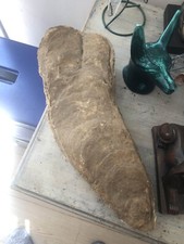 Fossile huitre géante d'occasion  Bessèges