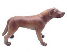 Chocolate labrador retriever for sale  Olympia
