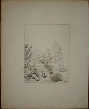 Goldicutt pinelli sant usato  Roma